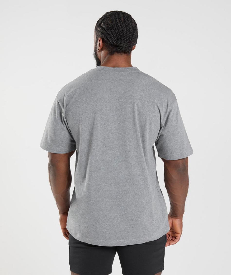 Gymshark Essential Oversized Muške T Shirts Sive | HR 2526LIS